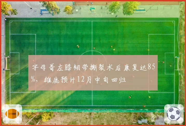 字母哥左膝韧带撕裂术后康复达85%，雄鹿预计12月中旬回归