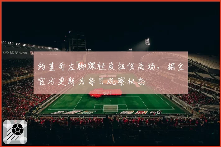 约基奇左脚踝轻度扭伤离场，掘金官方更新为每日观察状态